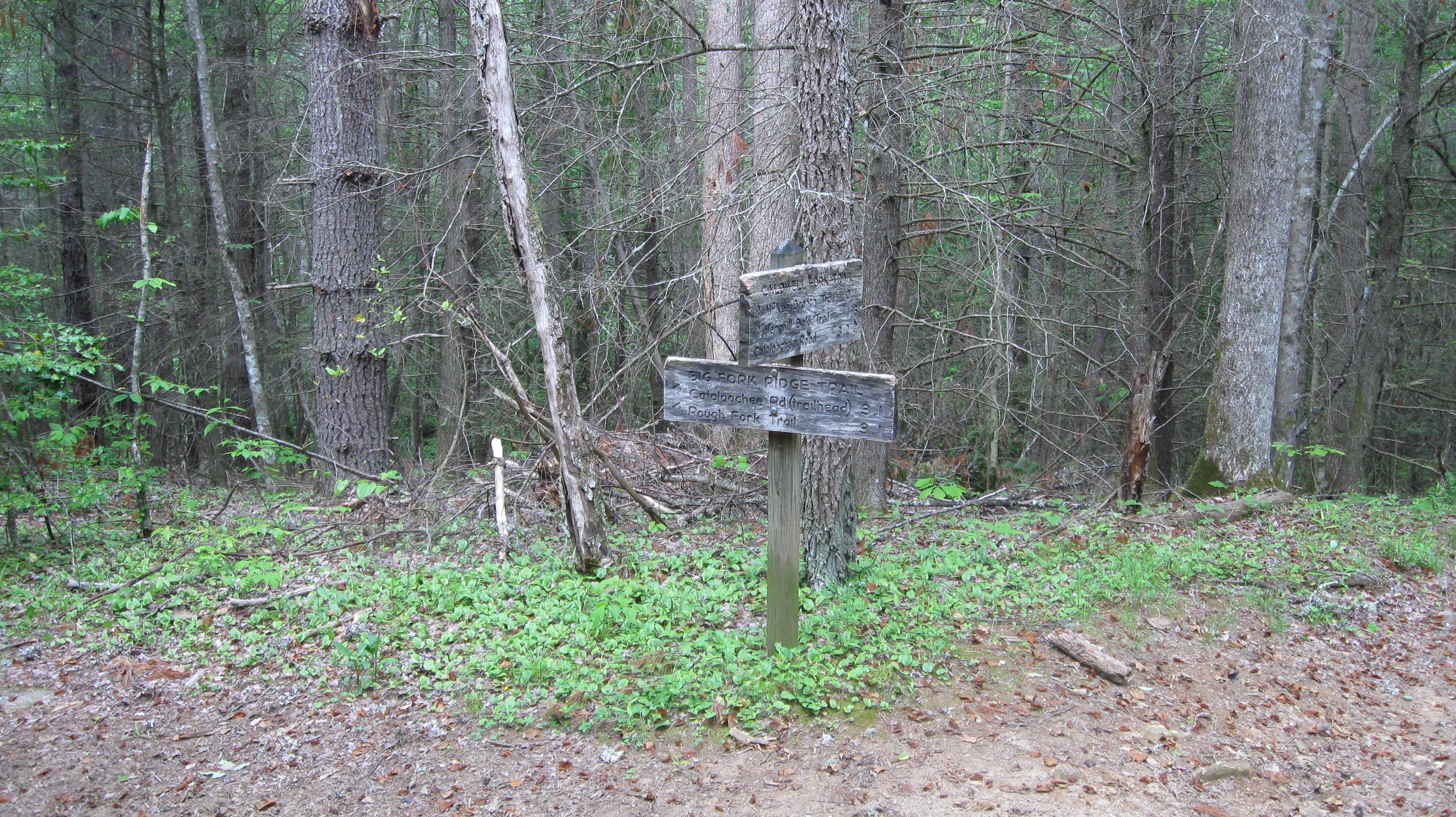 Caldwell Fork Trail, an other typical stream crossing