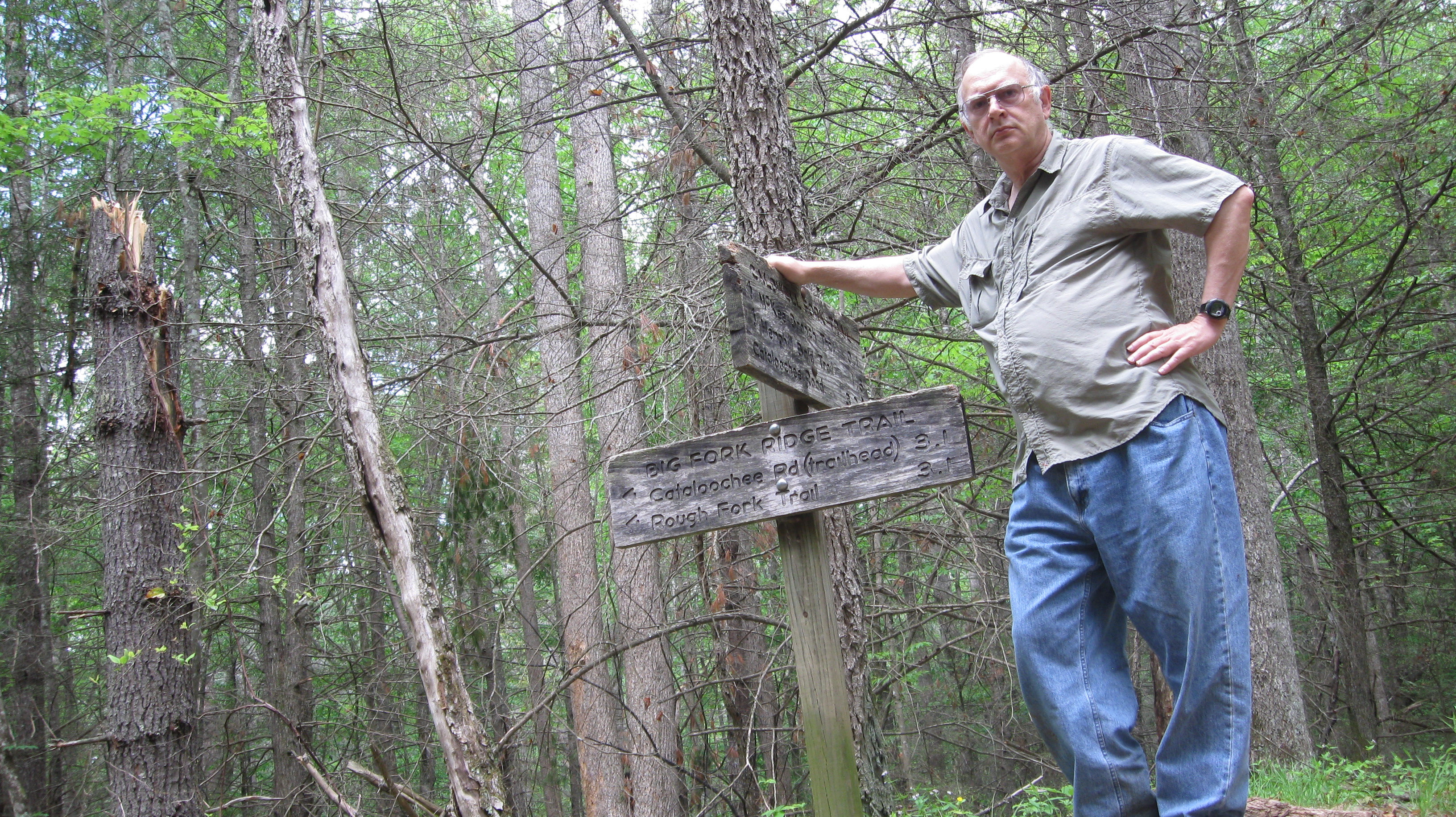 Caldwell Fork Trail, an other typical stream crossing
