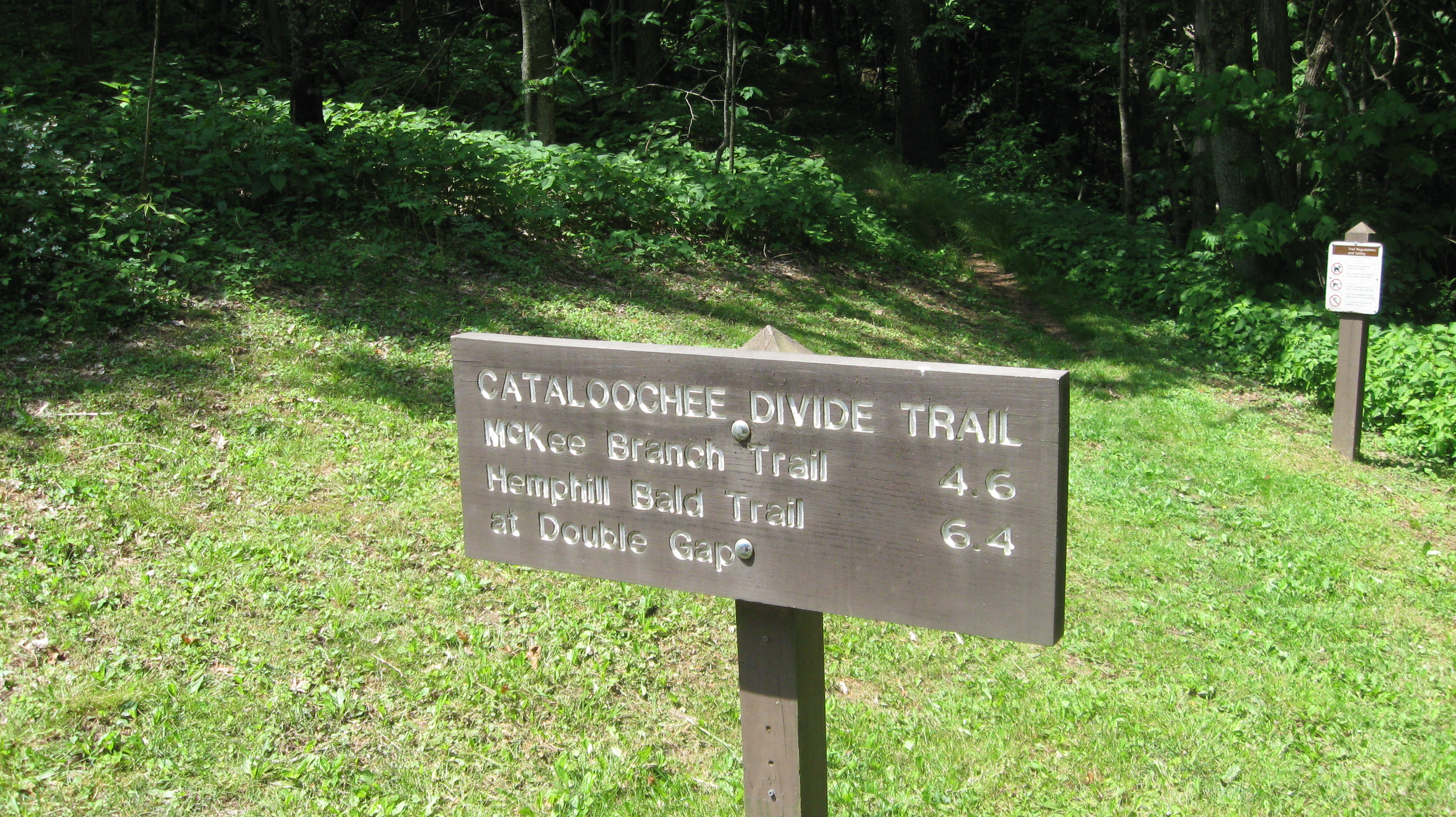 Cataloochee Divide trailhead