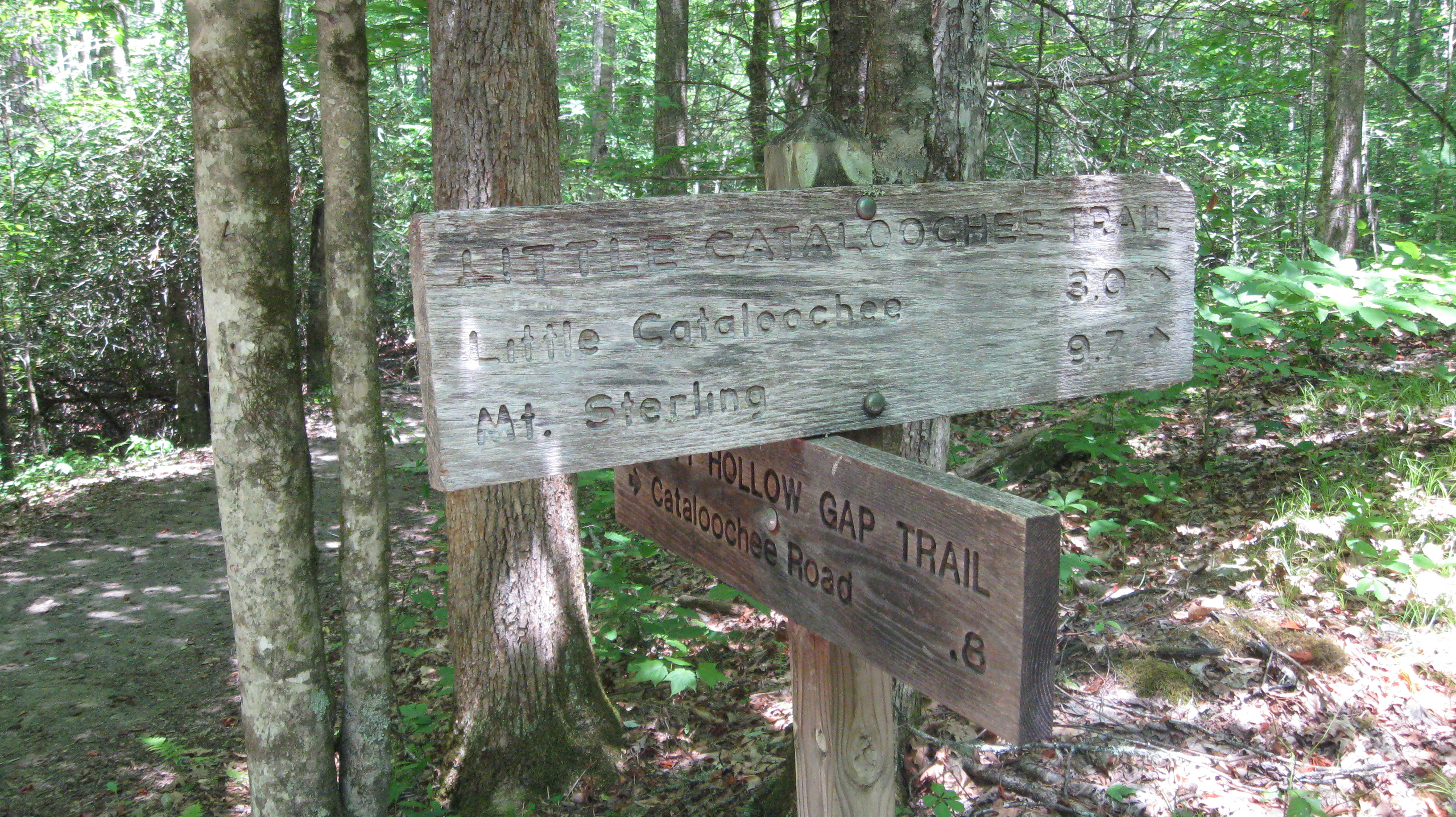 Little Cataloochee trailhead sign