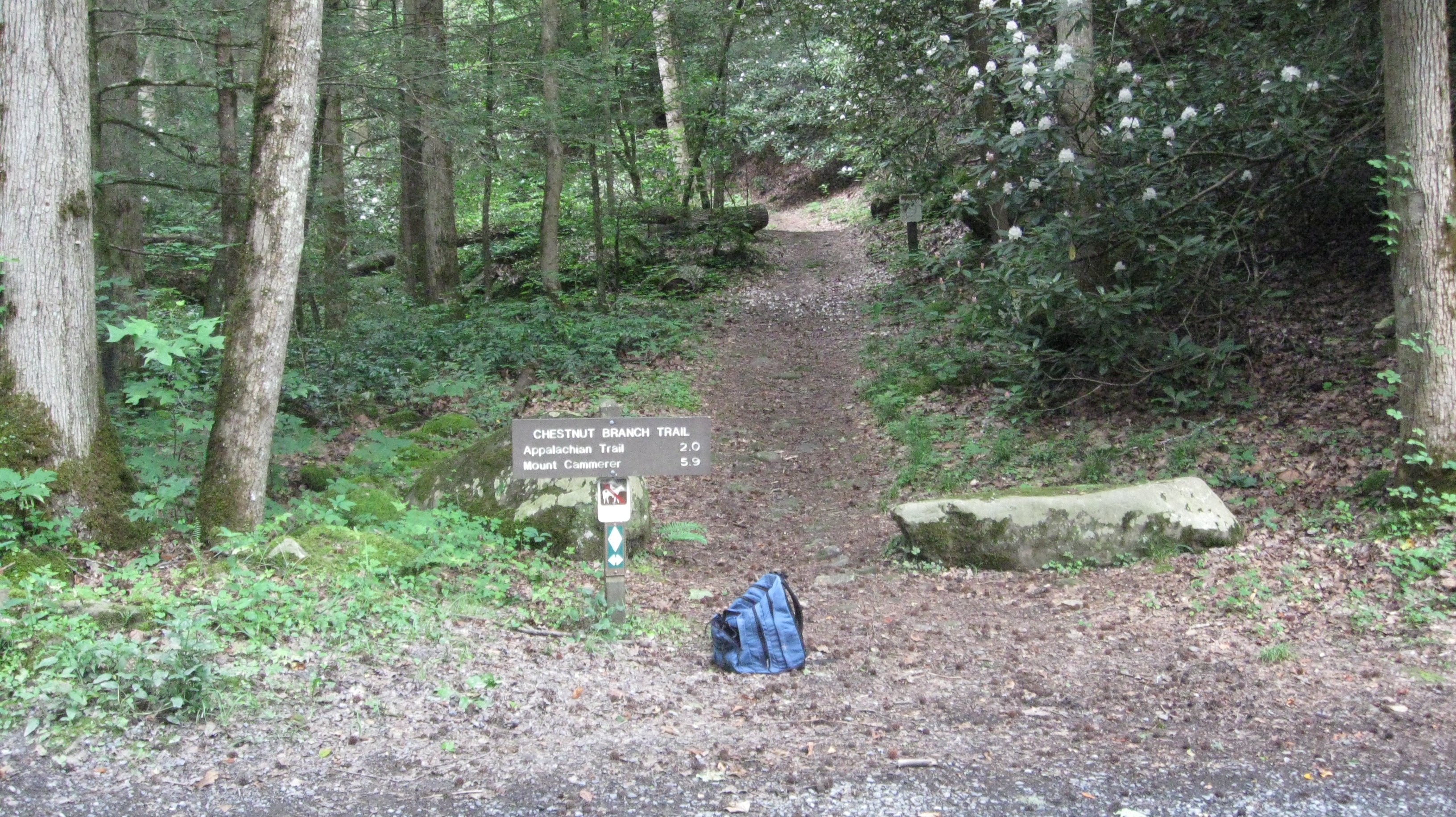Chestnut Branch Trailhead