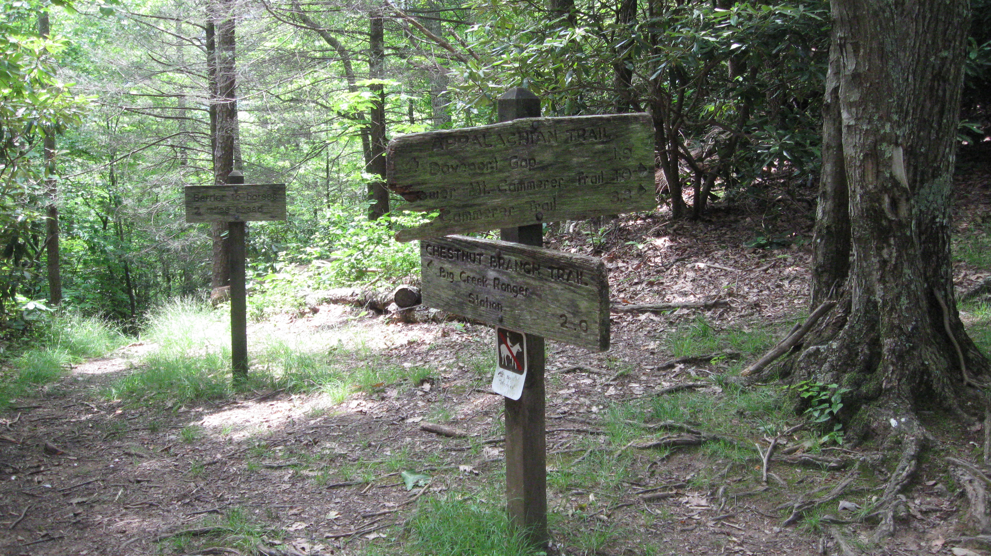 End of Chestnut Branch Trail