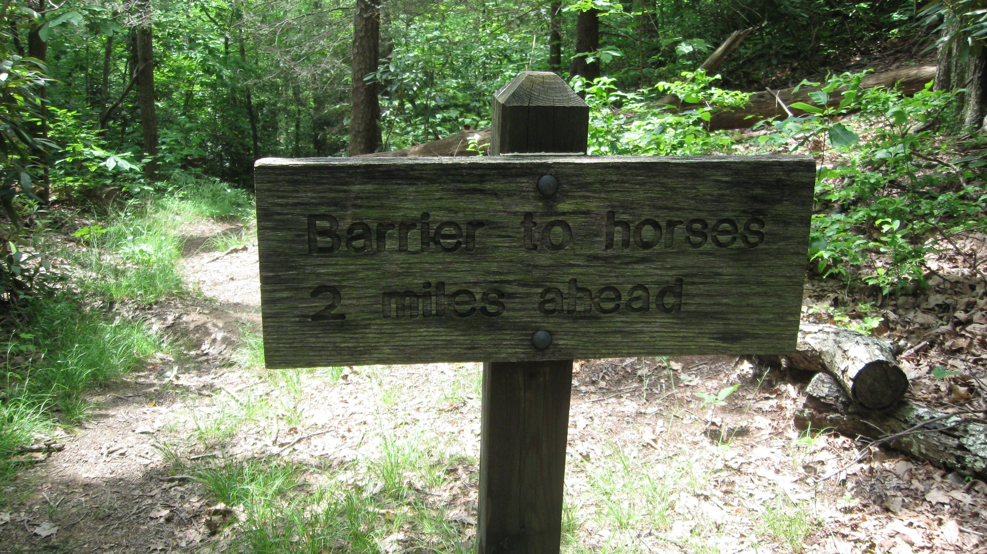 End of Chestnut Branch Trail