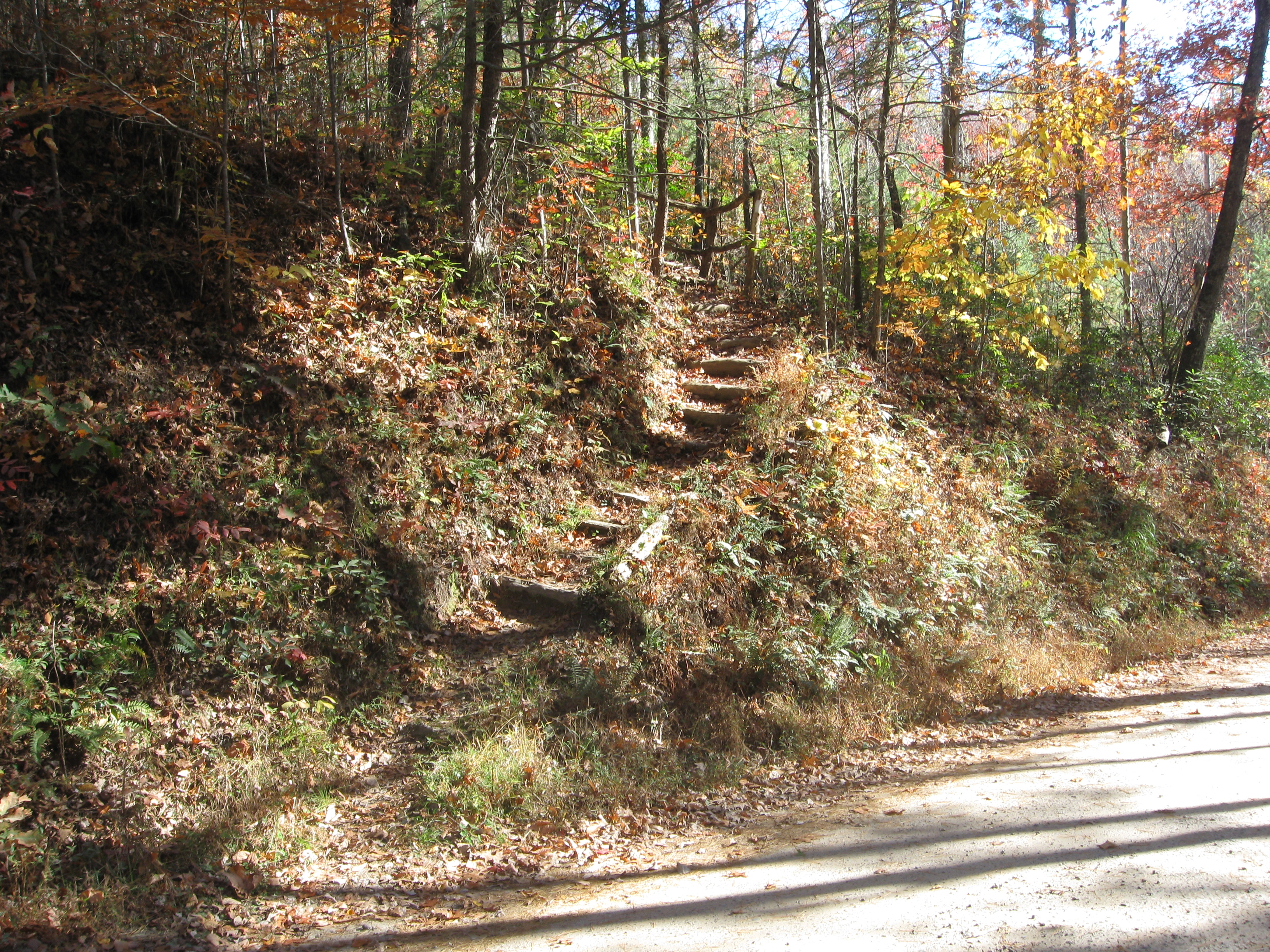 Appalachian trail northbound from Davenport Gap (eastbound at this point)
