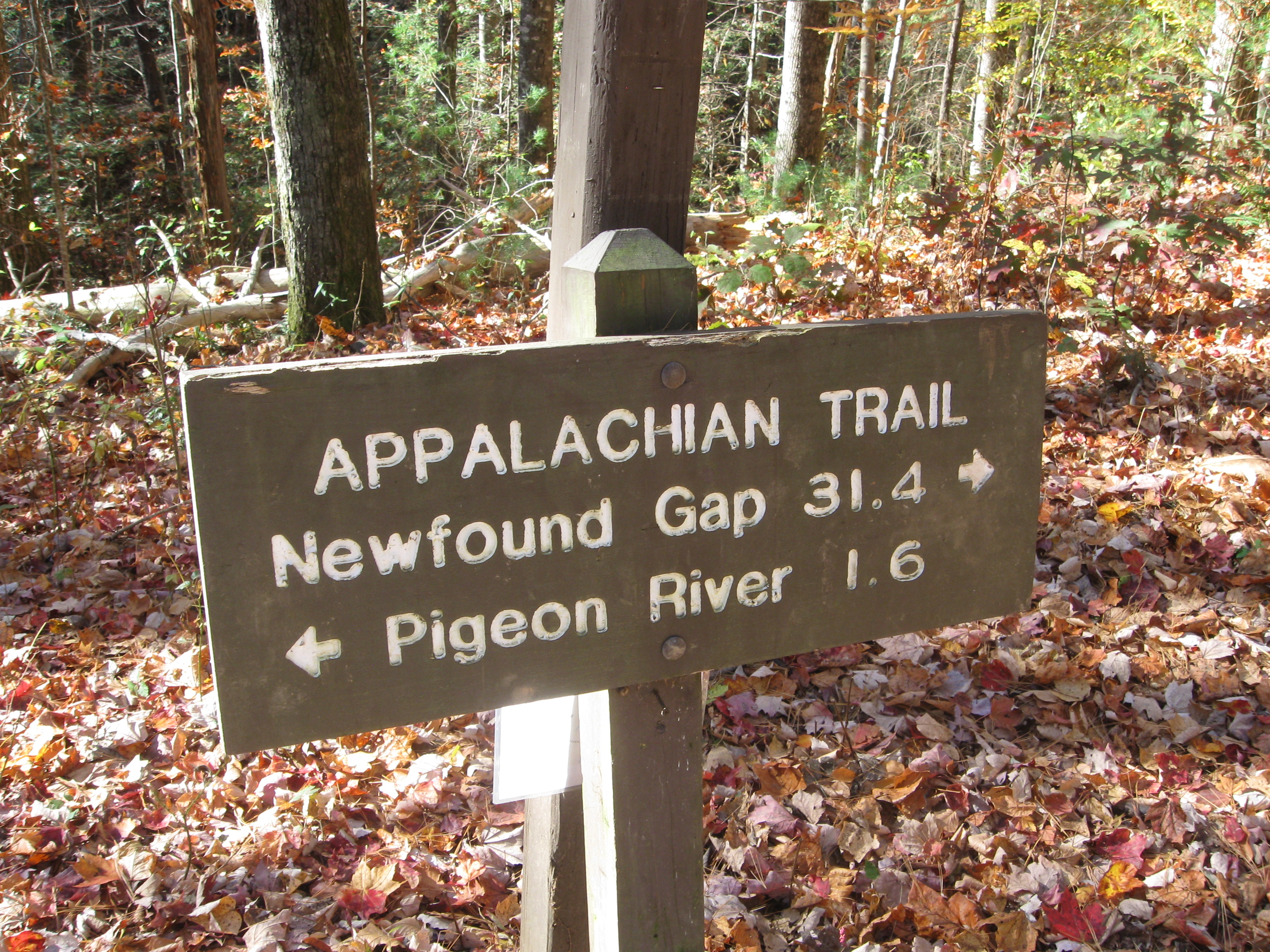 Davenport Gap Trailhead Closeup