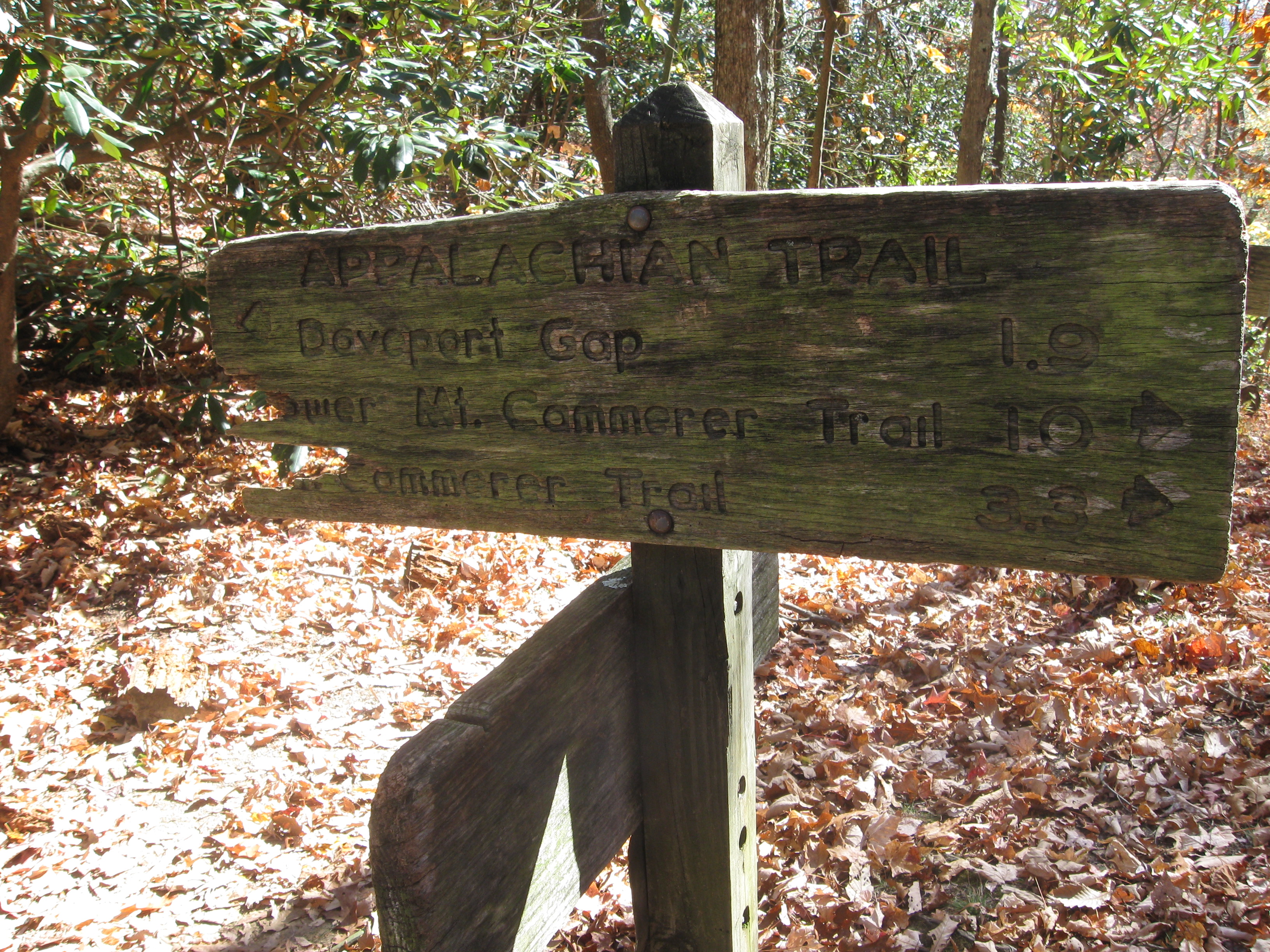 Appalachian Trail Intersection with Chestnut Branch Trail