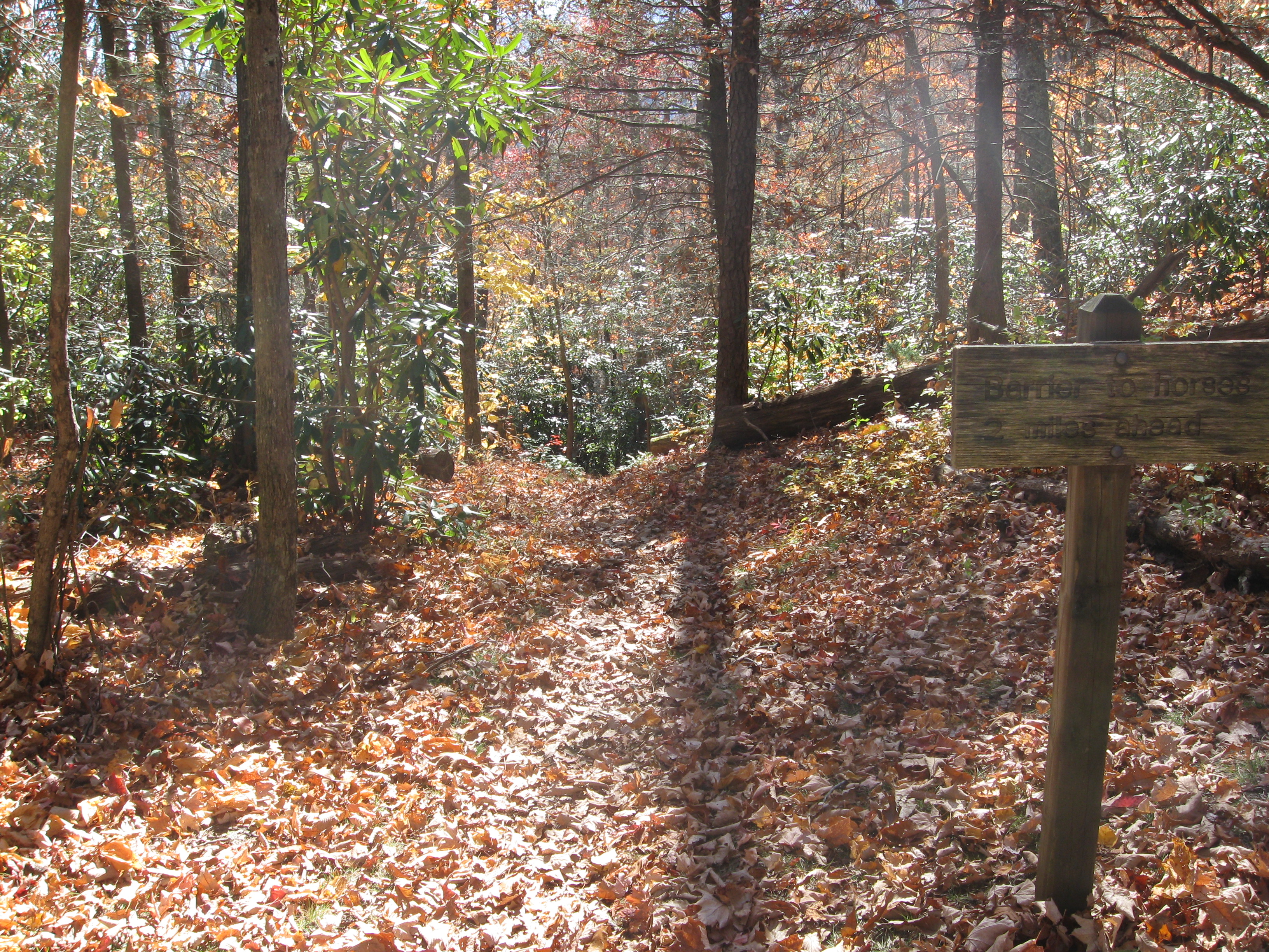 Appalachian Trail Intersection with Chestnut Branch Trail