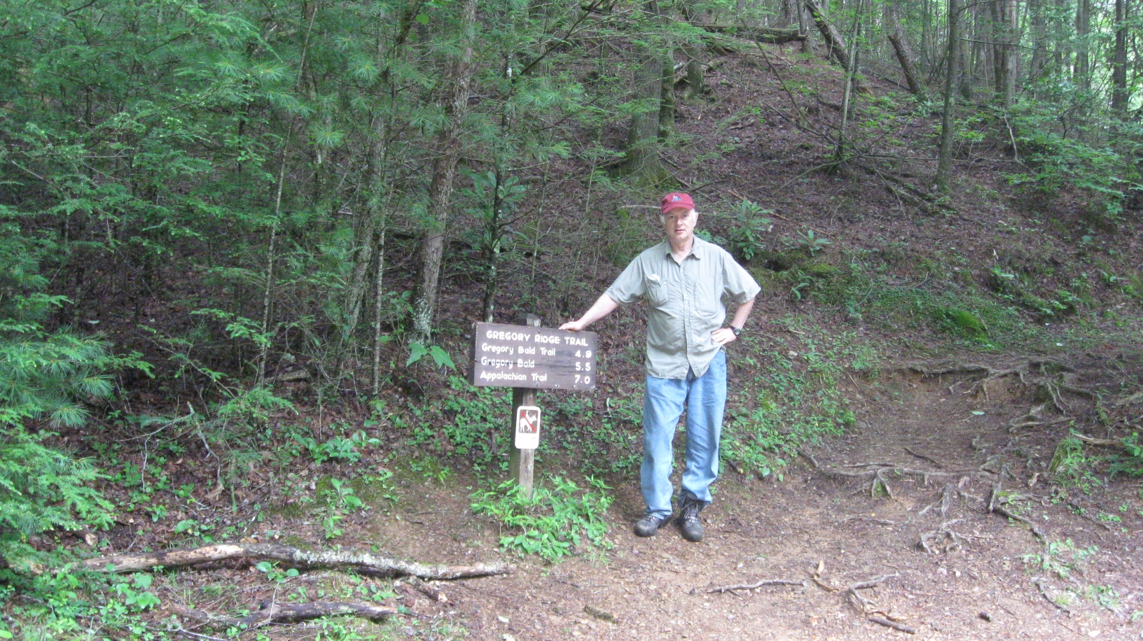 Rhododendron at the trailhead