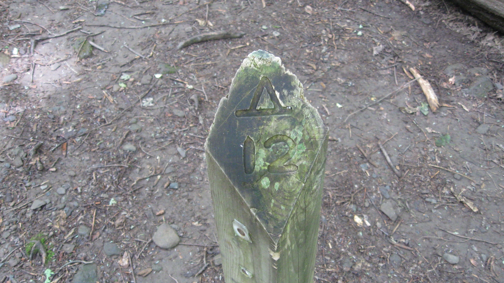 trail marker for back country campsite #12