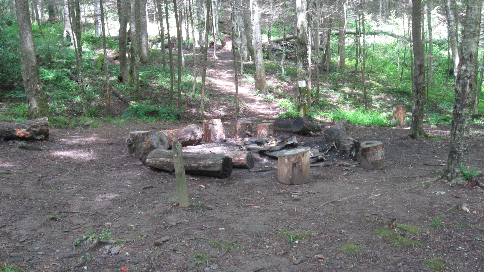 back country campsite #12