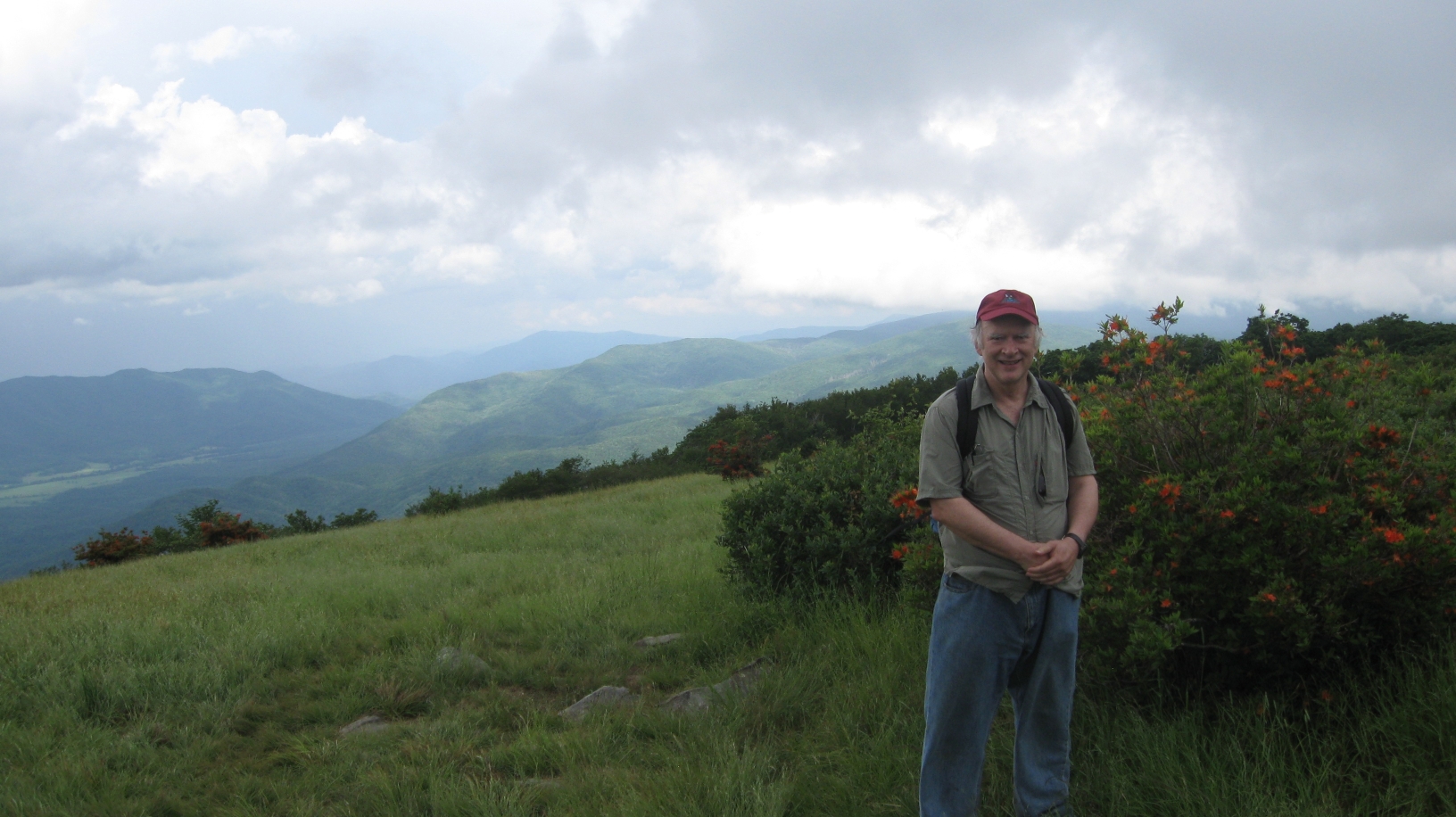 Flame azaleas on Gregory Bald