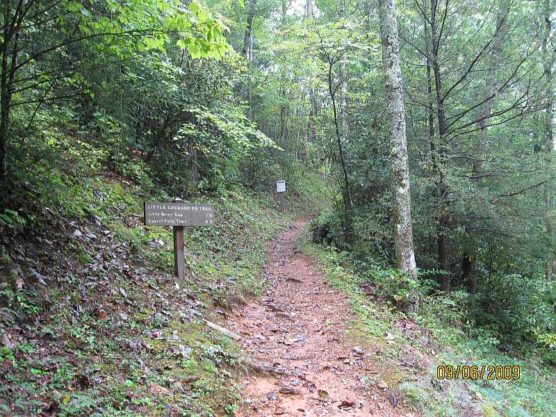 Little Greenbrier Trailhead