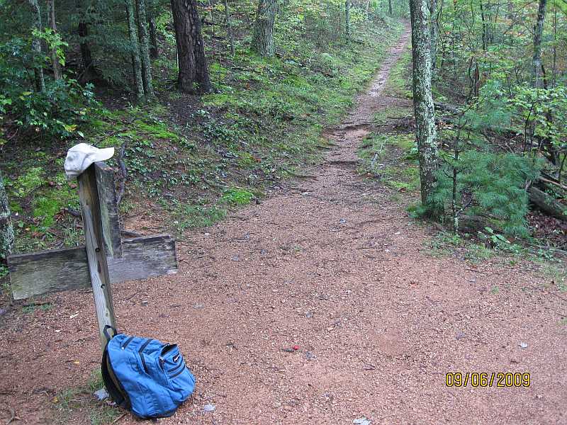 Trail intersection sign at Little Brier Gap