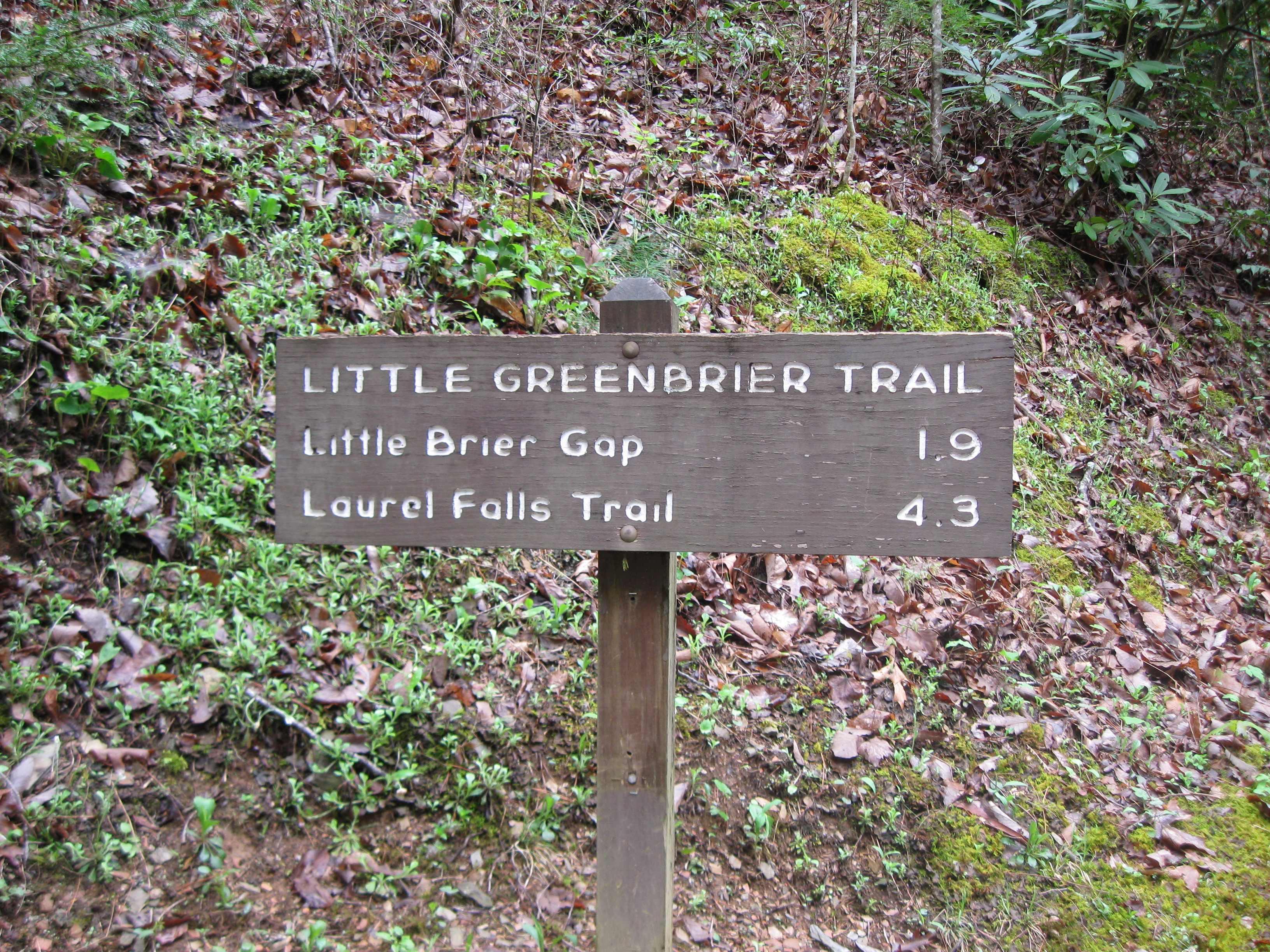Trailhead for Little Greenbrier Trail