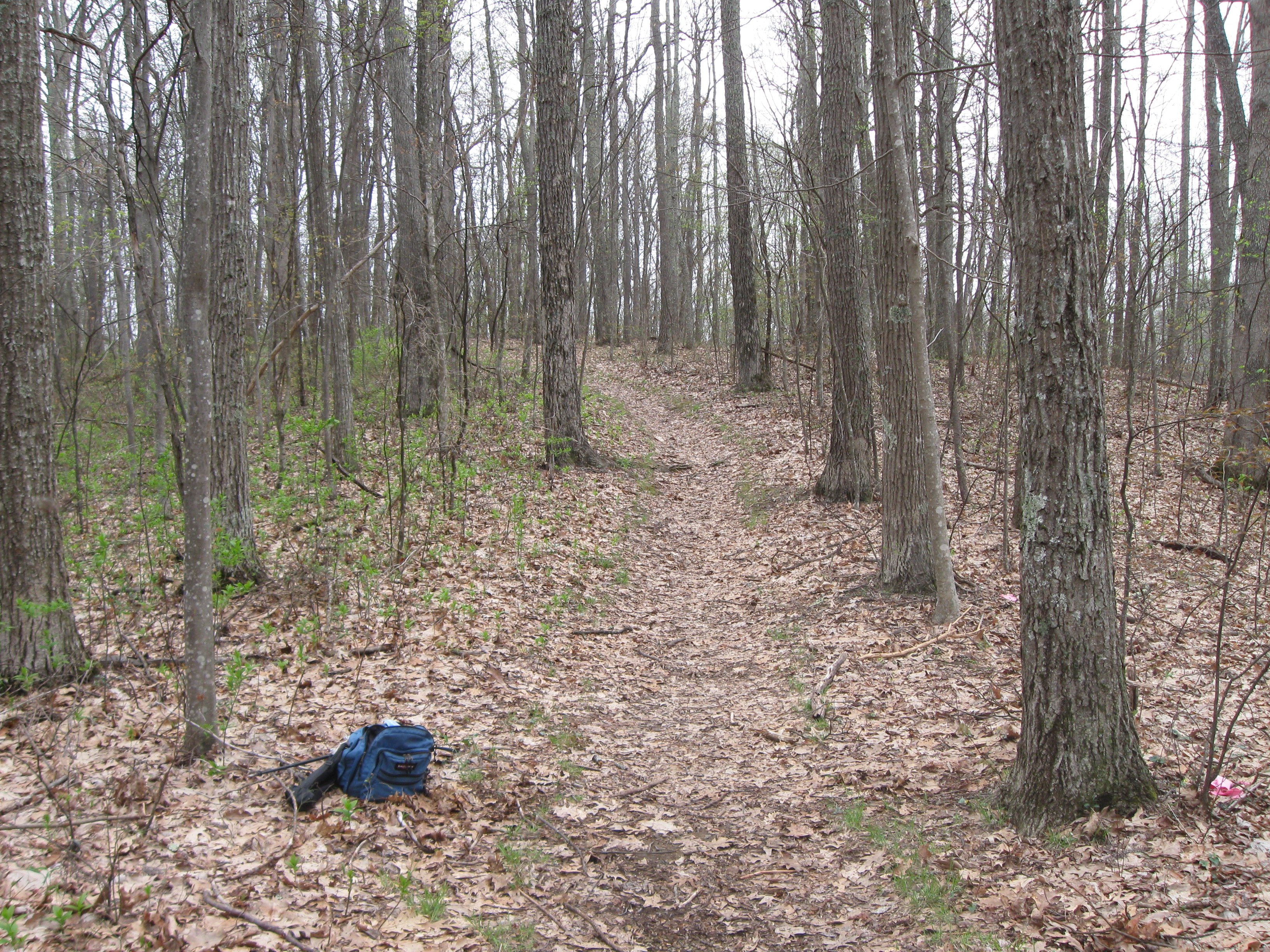 Trailhead for Little Greenbrier Trail