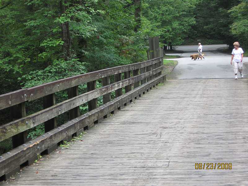 Metcalf Bottoms bridge