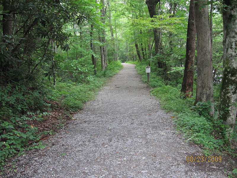 Metcalf Bottoms bridge