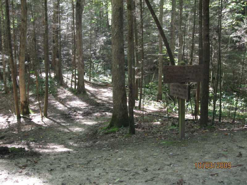 Intersection with the Turkeypen Ridge Trail