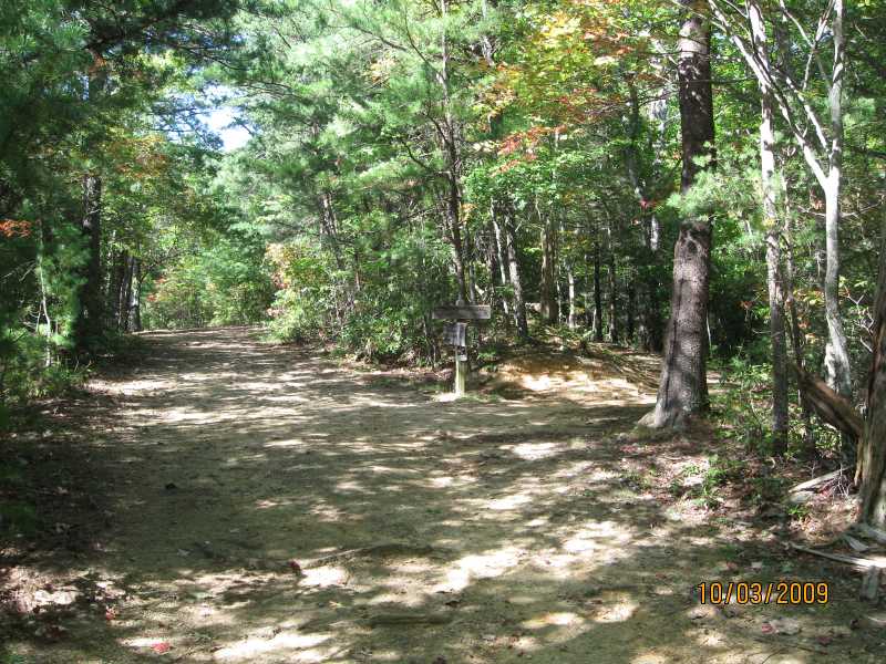 Intersection with the Chestnut Top Trail