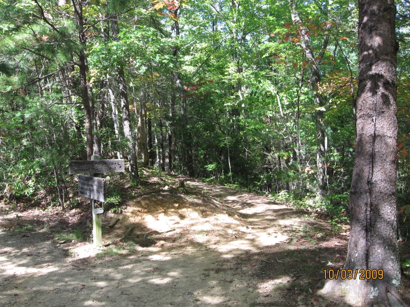 Intersection with the Chestnut Top Trail