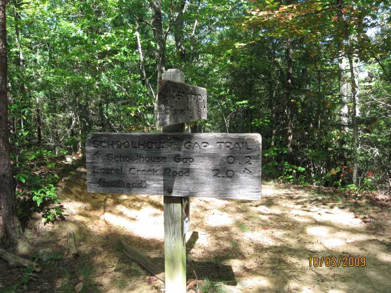 Intersection with the Chestnut Top Trail